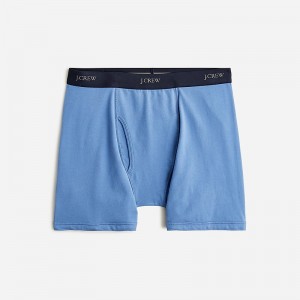 Delphinium Blue J.Crew Stretch 4" boxer briefs | J.Crew Factory | FCDQM0126