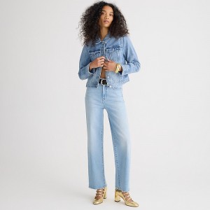 Elia Wash J.Crew Slim wide-leg jean | J.Crew Factory | VCQZM2950