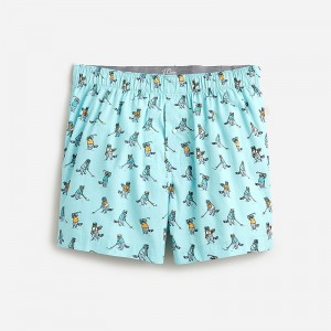 Gold Racoon Aqua Multi J.Crew Printed boxers | J.Crew Factory | HLVQU6254