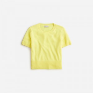 Pale Kiwi J.Crew Cashmere shrunken T-shirt | J.Crew Factory | SMIRN4270