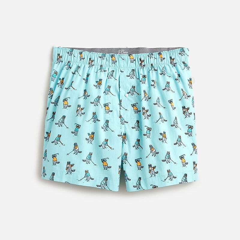 Gold Racoon Aqua Multi J.Crew Printed boxers | J.Crew Factory | HLVQU6254